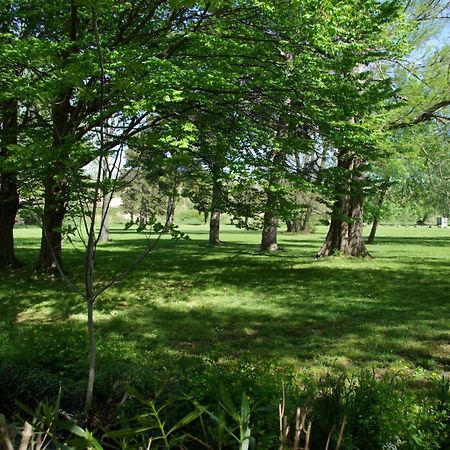 Auberge Du Parc Orgon Zewnętrze zdjęcie